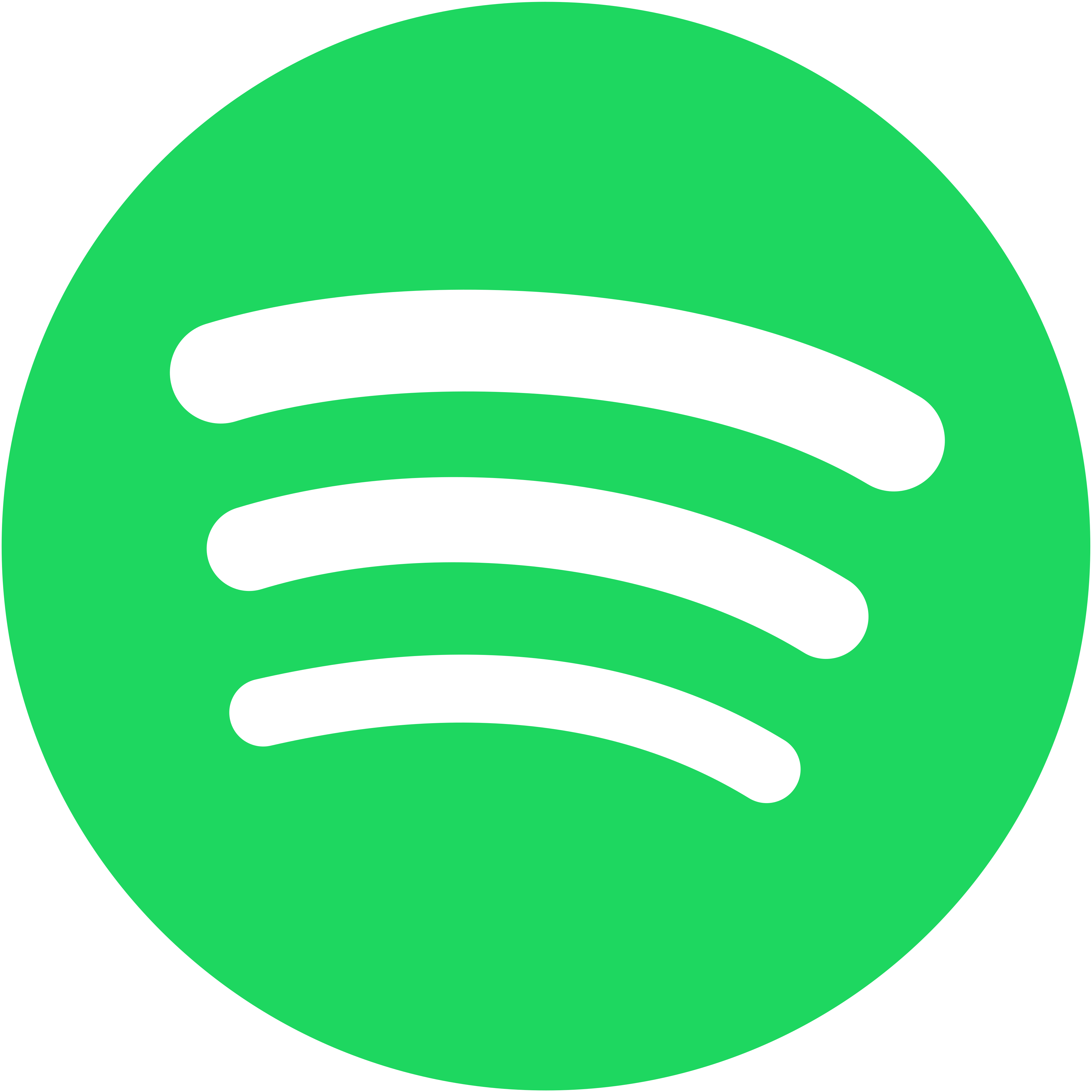My spotify!